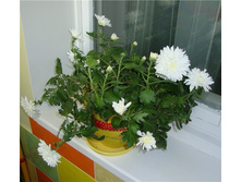 ���������� ����� ���������� ����4.jpg