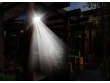 � ����.����