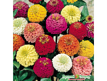 ������ �������� ����� 10 ���. (0,3 ��.).