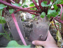 ..������ ��������. ������� ������. 11 ���. (3 ��.) ����� �� ��� ����. � ������� 11 ��..jpg