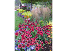 �������� ���� ������.jpg