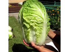 ������� ��������� ������� ������ ����� ������, ������� � ����������� (��� ��������).jpg