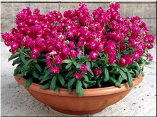 ������ �����������2.jpg