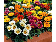 �������� � ����2.jpg