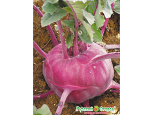 ������� �������� ������� ������� 9,1 ���. (0,5 ��.).jpeg