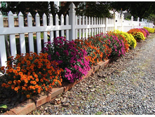 ���������� � ���� 5.jpg