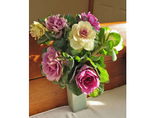 ������� ������������ F1 ������� � ������.jpg