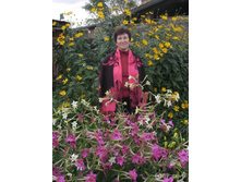 ����� �������� �����������2.jpg