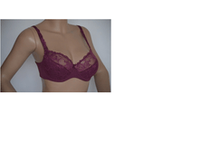 194, "���� �������" ����� ROSE (�/�������)-735 ���