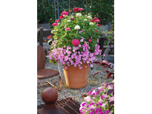 ����� � ��������.jpg