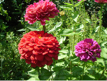 ������ ������� ������2.jpg