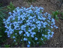 ��������� ���������� ���� �� ��������� � �����2..jpg