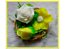 ���� �� �������+������+ ����� ���, ���� 260 ���