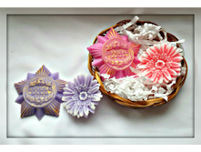 ������ ����