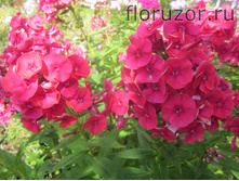 �.�.����