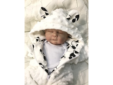 ���������� ���������� �����.JPG