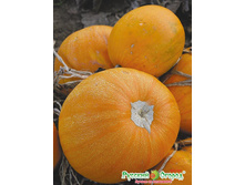 ����� �������� ��������� 9,10 ���. (2 ��.).jpeg