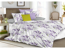 ���� ������ (�������).jpg