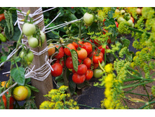 ����� ������� ������ ������� ���. ����.jpg