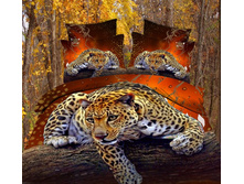 3D ������.jpg