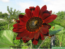 ������������ ������ �������� 9,10 ���. (0,5 ��.).jpeg