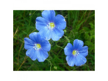 ��� �������� ������3.jpg