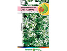 �������� ��������� ���� �� ���� (�������) 9,60 ���. (0,5 ��.).jpg