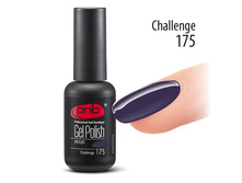 ����-��� PNB Challenge 175.jpg