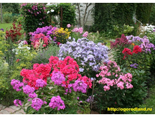 ������ ����� � ����3.jpg