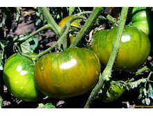 ����� ���������� ������ ���. ����2.jpg