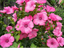 ������ ��������� ������� ������ ���������4.jpg