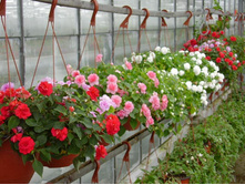 ��������� ������� ���������2.jpg