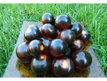 ����� F1 ������ ������ 5.jpg