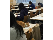 ��� ���� ������� ������ ... ������� �������� �� ���