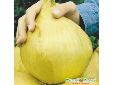 ��� �������� ������� ������ 24,60 ���. (50 ��.).