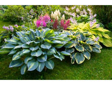 ������� ����� � �������� � ������. �����. ����������� ������.jpeg