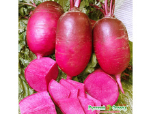 ������ ��������� ������ 52,8 ���. (0,3 ��.).jpeg