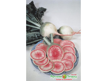 ������ ������� ����� ������ 15 ���. (1 ��.).jpeg