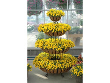 .����� ��������� ���������� ������� ���. ����. ����� ������ �� ���������.jpg