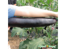 �������� ������� ������ ���. ����.jpeg