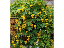 .��������� ��������� ��������� �����. ���. ����. ����� ������ �� ���������4.jpg