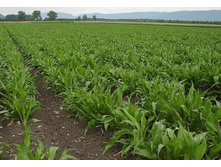 ��������� ��� �������� ������.jpg