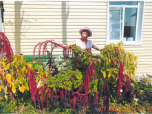 .������� ����������� ����� �����. ����. ����� ������ �� ���������.JPG