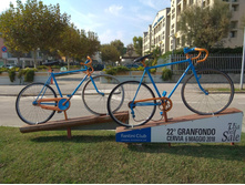 Image (3)���.jpg