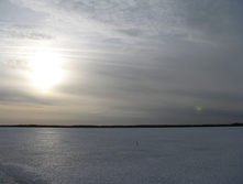 IMG 8204.jpg