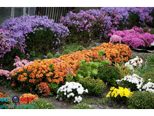 ���������� � ���� 4 � ��������.jpg