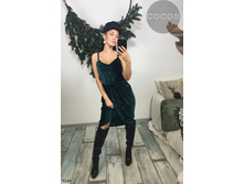 Plate-5249.jpg  1350���