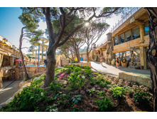 ��������� 4*