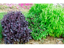 �������� � ������� 2.jpg