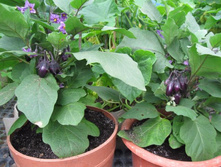 ��������� ����� ��������� ������ � ��������.jpg